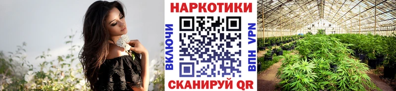 Как найти наркотики Владивосток Марихуана  АМФЕТАМИН  Гашиш  Alpha PVP  МЕФ  Cocaine 