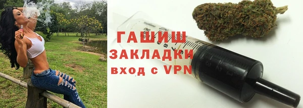 хмурый Осинники