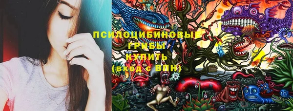 твердый Осташков