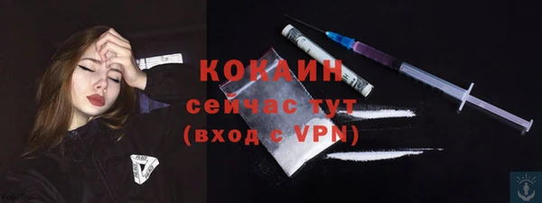 хмурый Осинники