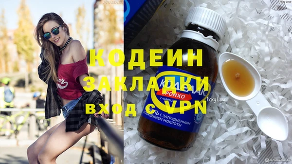 хмурый Осинники