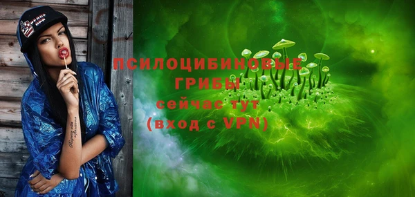 твердый Осташков