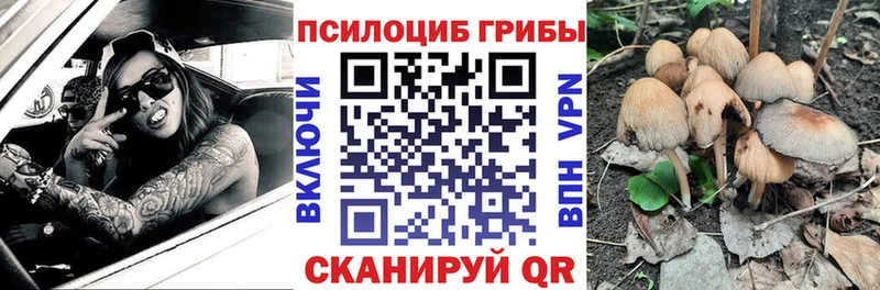 Псилоцибиновые грибы Magic Shrooms  Владивосток 