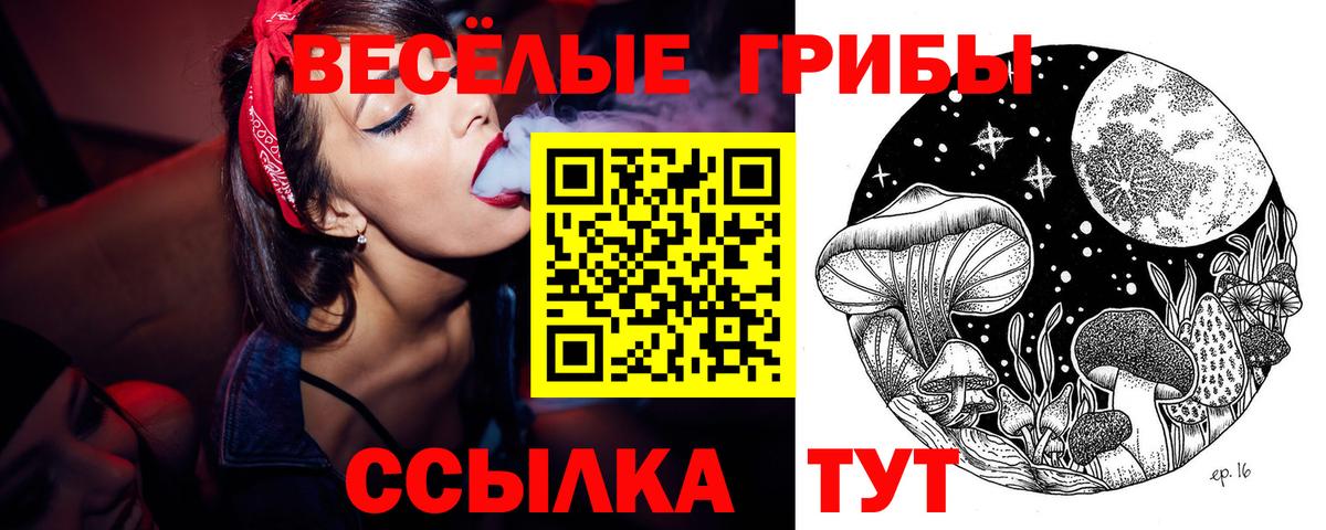 Галлюциногенные грибы Psilocybe Владивосток