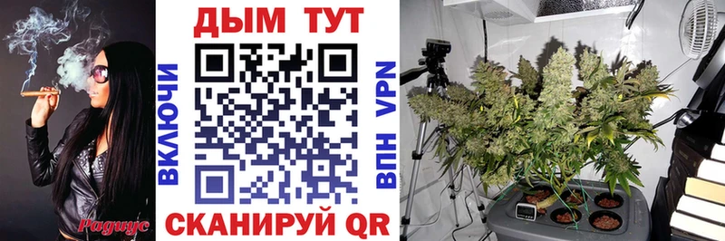 наркотики  Владивосток  МАРИХУАНА ГИДРОПОН 